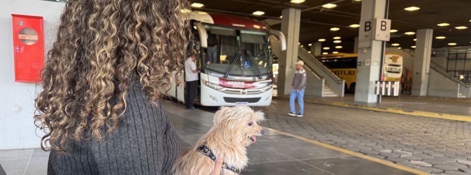 Transporte de pets passa a ser regulamentado em BH