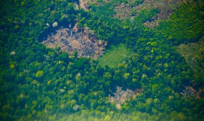 Justiça condena cinco pessoas por desmatamento da Amazônia