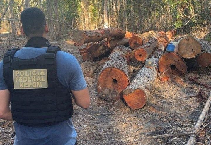 pf-amazonia