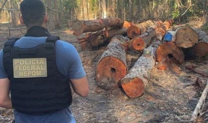 PF prende 4 pessoas por desmatamento ilegal em assentamento no Pará