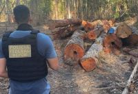 PF prende 4 pessoas por desmatamento ilegal em assentamento no Pará