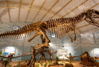 10 cidades em São Paulo para conhecer museus e história dos dinossauros