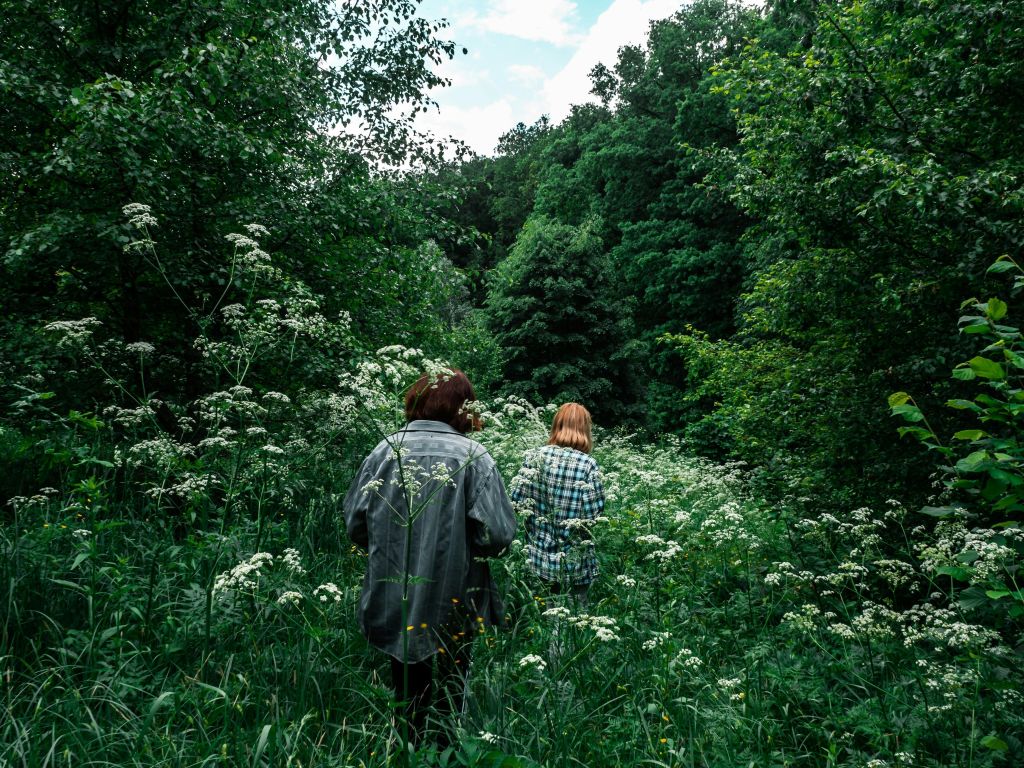 Muitas pessoas relatam sentimentos positivos de emoção ao explorar a natureza