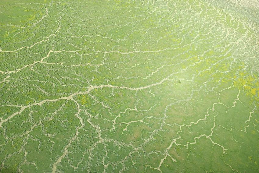 As águas das enchentes trazem vegetação para o interior, como mostrado nesta foto aérea da bacia do Lago Eyre • Arid Air via CNN Newsource