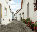 Cidade Europeia do Vinho: conheça Baixo Alentejo