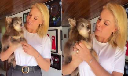 Ana Hickmann lamenta morte de cachorro aos 14 anos: "A tarde ficou cinza"