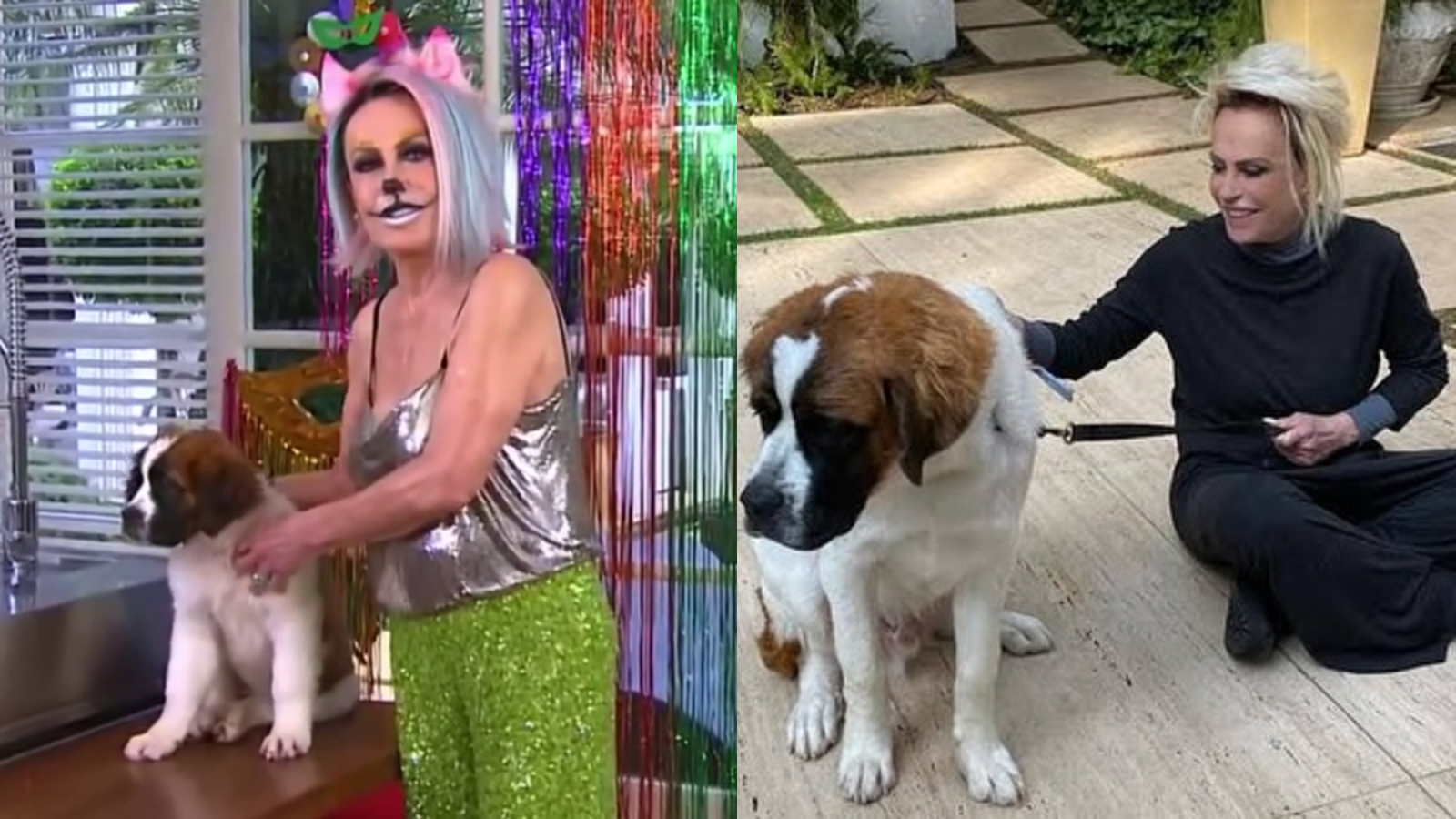 Em uma coletânea de registros, Ana Maria mostrou momentos felizes na companhia de seu bichinho, brincadeiras e até uma aparição ao vivo do cachorro