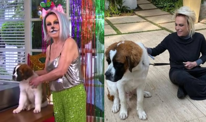 Ana Maria Braga lamenta morte de cachorro: "Agora ele corre no céu"