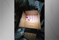 Polícia apreende carga de botox avaliada em R$ 7 milhões, em São Paulo