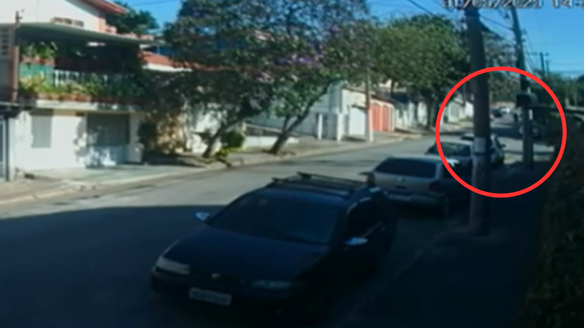 Vídeo: desenhista da polícia reage a assalto e é baleado em são paulo | cnn brasil