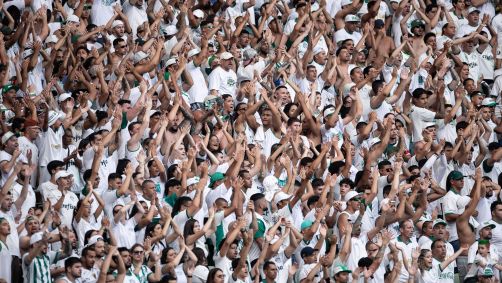 Torcida do Palmeiras em partida contra o Botafogo no Brasileirão