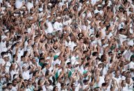 Palmeiras x Botafogo: duelo de torcidas promete incendiar o Mundial