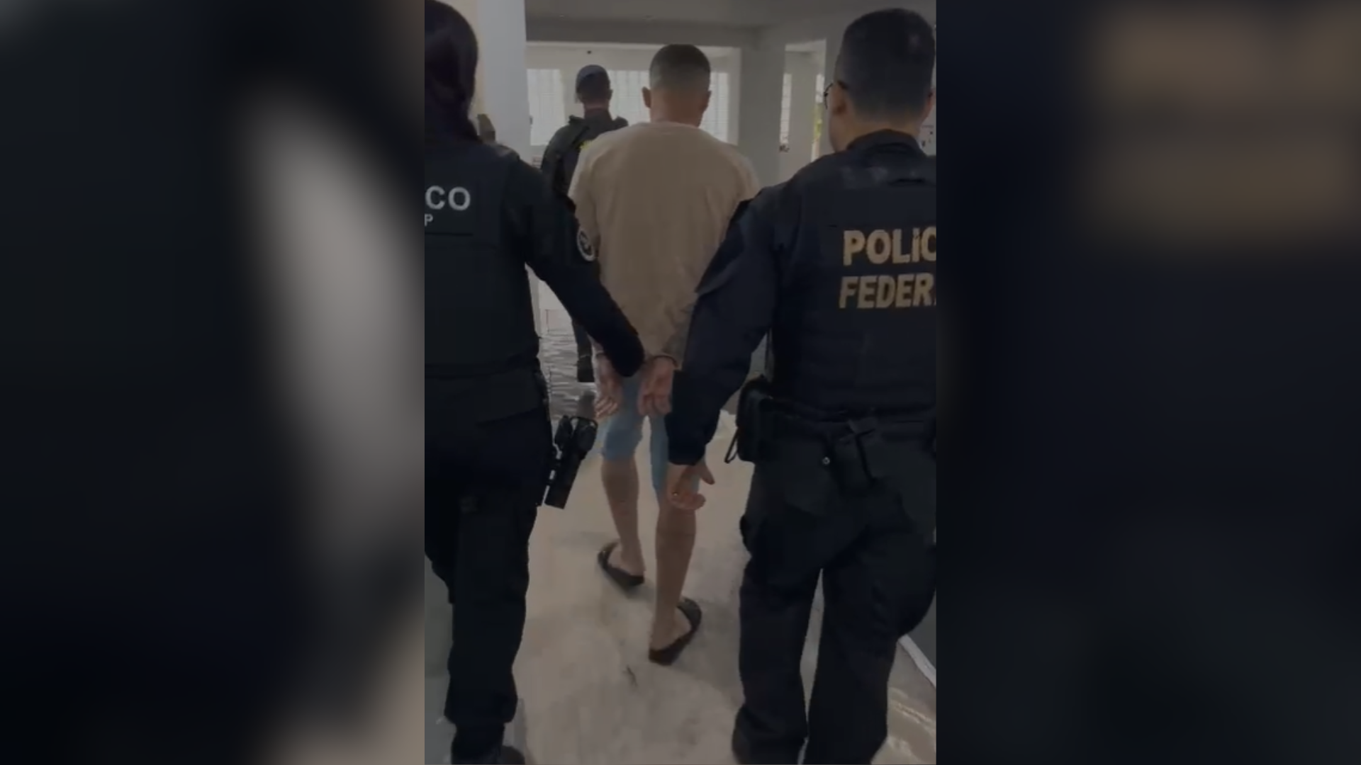 cao farejador cofre droga (1)