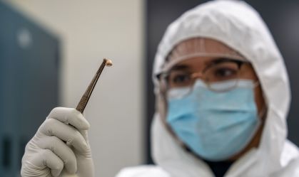 Pesquisadores descobrem como a Peste Negra sobreviveu por séculos; entenda