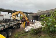 Chuva no RS: Porto Alegre começa a fechar comportas para evitar inundações
