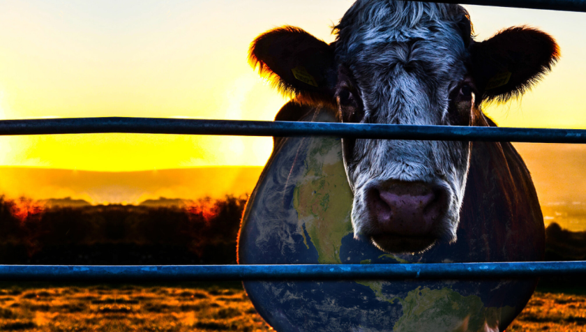 Imagem de cartaz do filme Cowspiracy, que mostra como a agropecuária intensiva está dizimando os recursos naturais do planeta • Divulgação/Netflix
