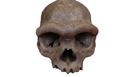 DNA do "Homem Dragão" revela rosto de grupo misterioso de humanos antigos