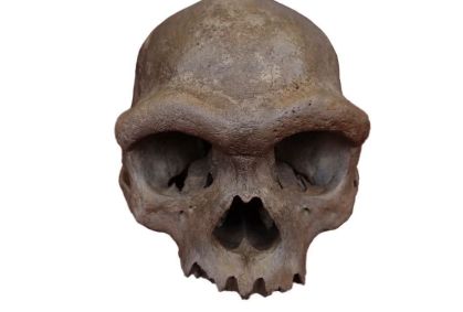 DNA do "Homem Dragão" revela rosto de grupo misterioso de humanos antigos