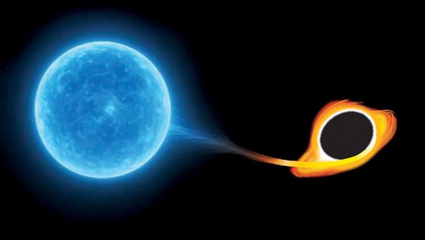 Transitórios nucleares extremos começam com um buraco negro "esticando" uma estrela • Universidade do Havaí