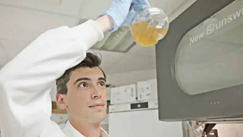 Estudante de doutorado verifica o crescimento de uma cultura de E. coli no Laboratório Wallace • Universidade de Edimburgo