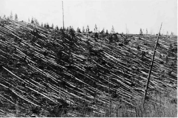 Imagem das árvores derrubadas pela explosão do asteroide em Tunguska, fotografia tirada por Kulik em uma de suas expedições na década de 1920 • Leonid Kulik via Nasa