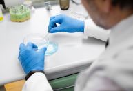 Como é feito toxicológico que volta a ser obrigatório nas categorias A e B