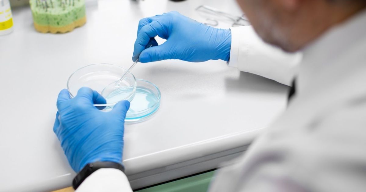 Como é feito toxicológico que volta a ser obrigatório nas categorias A e B