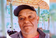 Servidor público morre após ser atacado por enxame de abelhas em SP