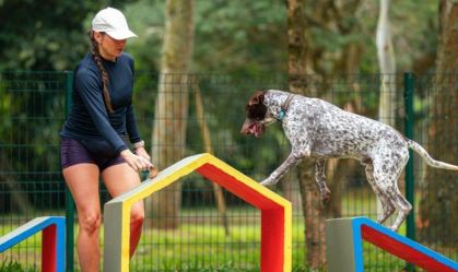 Festival Pet: o que esperar do evento dedicado aos bichos de quatro patas
