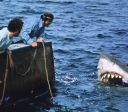 "Tubarão" 50 anos: como o filme moldou nosso medo e fascínio por tubarões