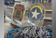 Polícia apreende 400 canetas emagrecedoras na fronteira com o Paraguai