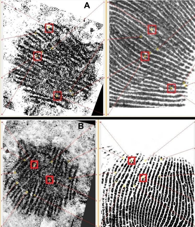 As imagens apresentam os detalhes da impressão digital mais antiga já encontrada.