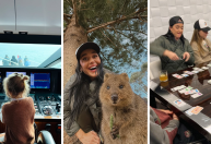 Após anúncio de término, Katy Perry compartilha fotos na Austrália; veja