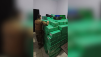 PRF apreende cinco toneladas de maconha congelada em SP