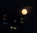 Lua de morango brilha no céu; veja fotos ao redor do mundo