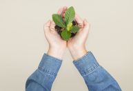 Dia Mundial do Meio Ambiente: veja os temas mais cobrados nos vestibulares