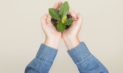 Dia Mundial do Meio Ambiente: veja os temas mais cobrados nos vestibulares