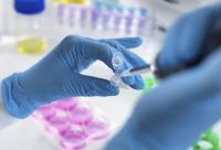 Imunoterapia aumenta tempo de sobrevivência ao mieloma múltiplo; veja