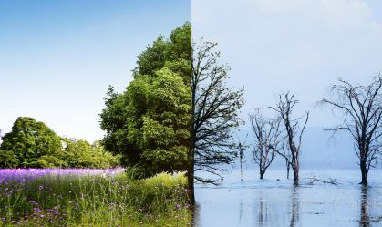 Como os eventos climáticos podem cair nos próximos vestibulares?