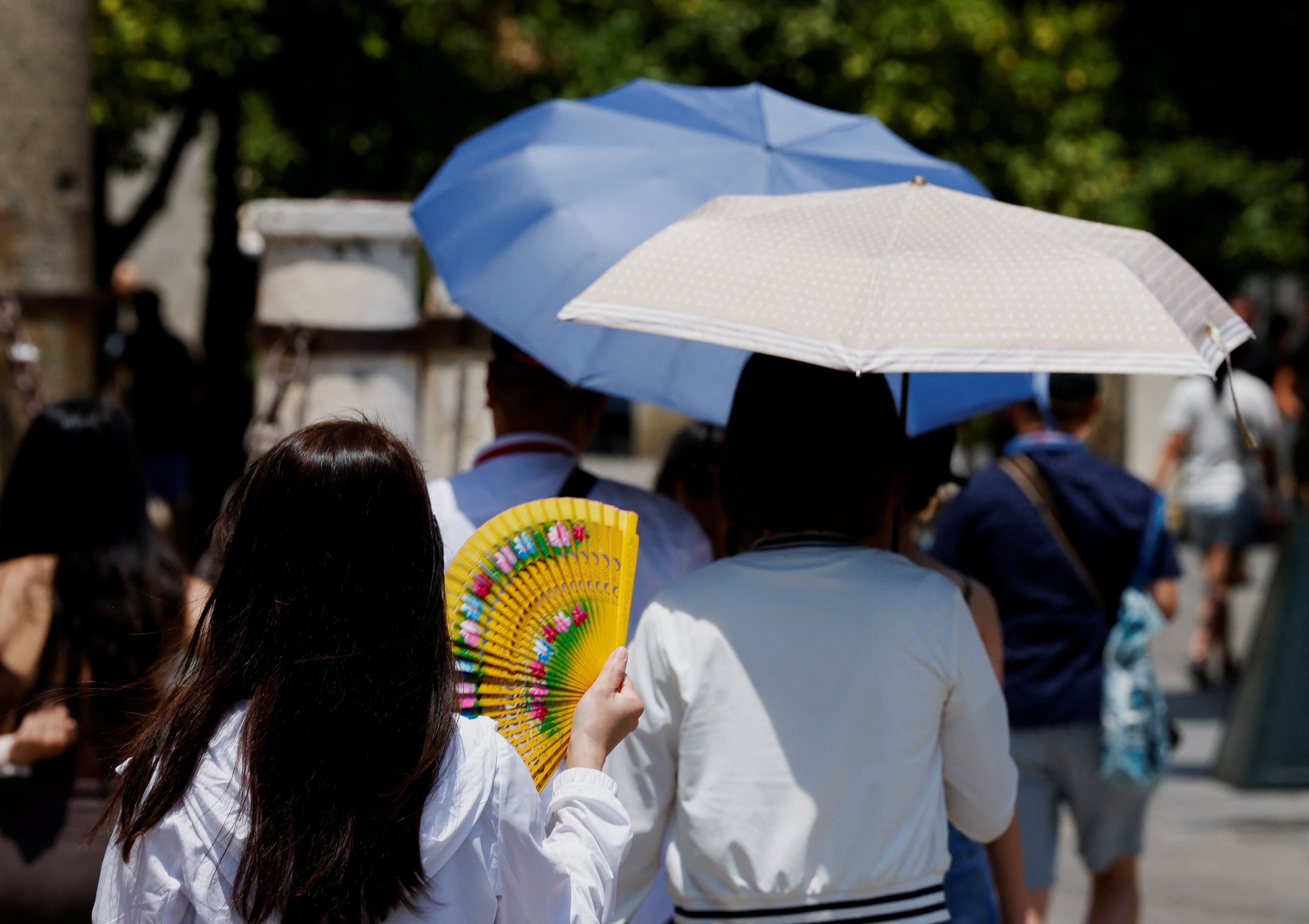 Incêndios florestais atingem Turquia e França em meio a onda de calor