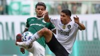 Palmeiras x Botafogo faz comentarista da Globo adiar samba de aniversário