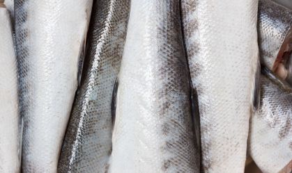Pele de peixe salva vida de bebê prematura; entenda tratamento