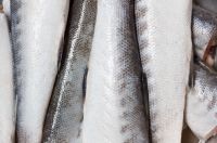 Pele de peixe salva vida de bebê prematura; entenda tratamento