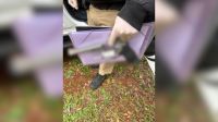 Proibido de usar celular, adolescente de 13 anos mata avó e fere avô no PR