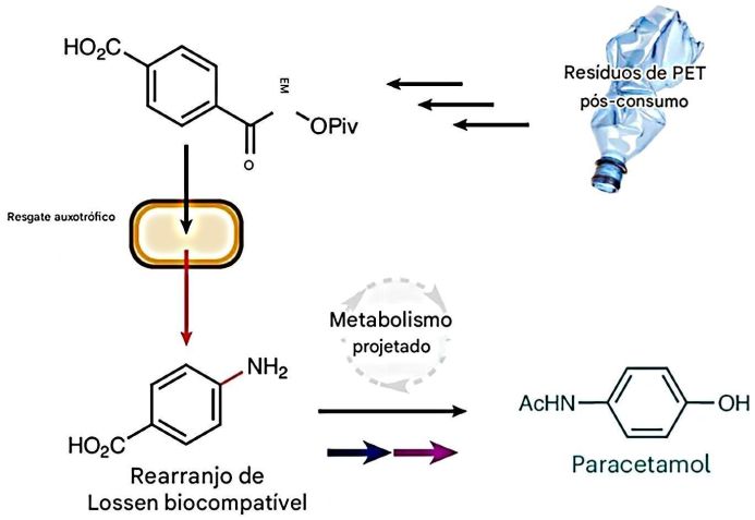 Resumo gráfico do estudo • Nick Johnson et al., Nature Chemistry, 2025