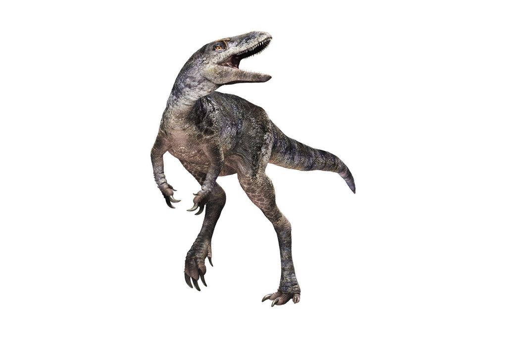 Uma representação artística mostra como o dinossauro recém-identificado Khankhuuluu, muito menor que o T. rex, poderia ter se parecido