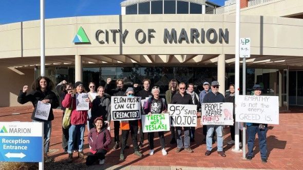 trees not teslas protestos contra elon musk