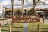 Caso de gripe aviária em zoológico não impactou exportação, diz DF
