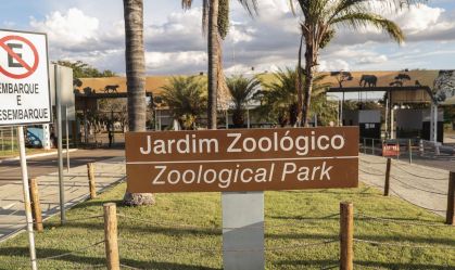 Caso de gripe aviária em zoológico não impactou exportação, diz DF