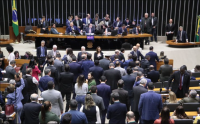 Câmara aprova projeto que proíbe testes cosméticos em animais